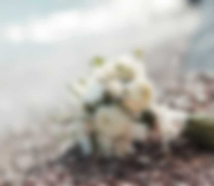 https://dbamyogrob.pl/wp-content/uploads/2019/06/service01-710x620.jpg